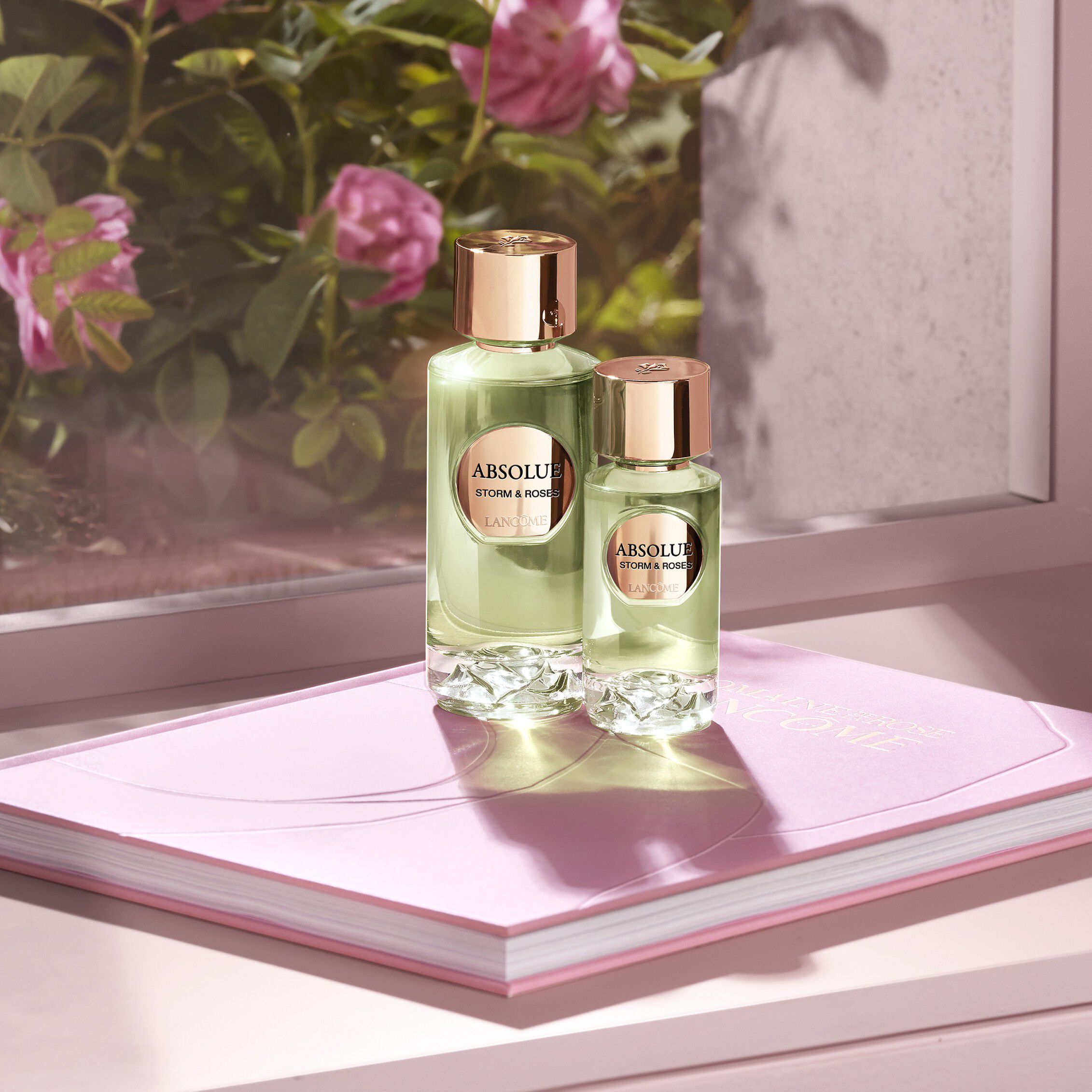 Absolue Les Parfums STORM & ROSES Eau de Parfum