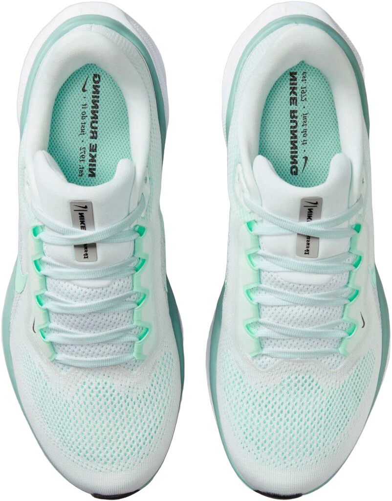 Pegasus 41 L&oslash;besko