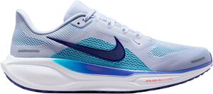 Pegasus 41 L&oslash;besko