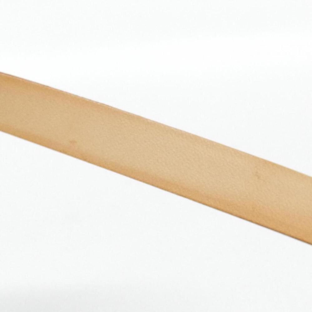 Louis Vuitton Florentine Pochette