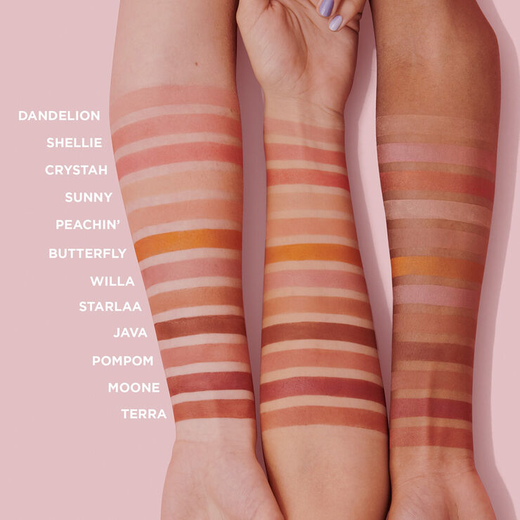 WANDERful World Blush Mini