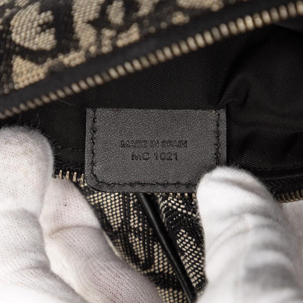 Dior Saddle Bag