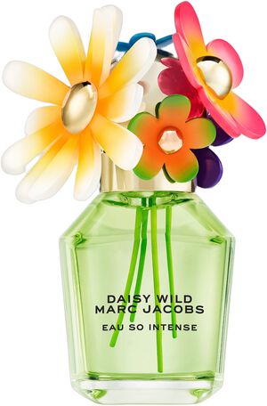 DAISY WILD INTENSE
