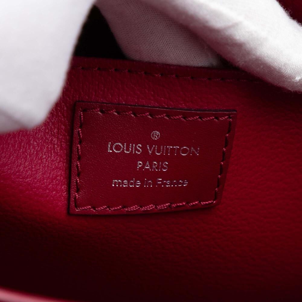 Louis Vuitton Pouch