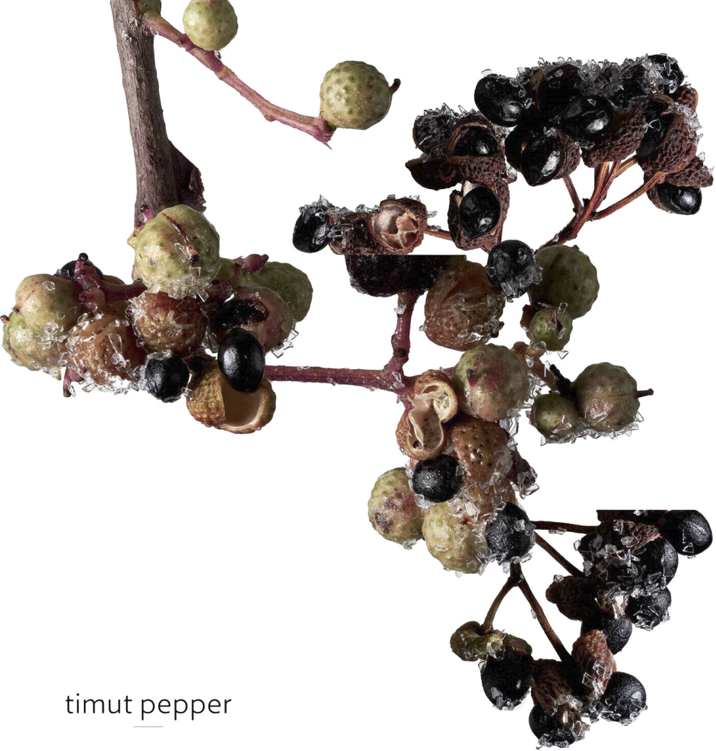 TERRE D'HERM&Egrave;S EAU GIVR&Egrave;E EAU DE PARFUM