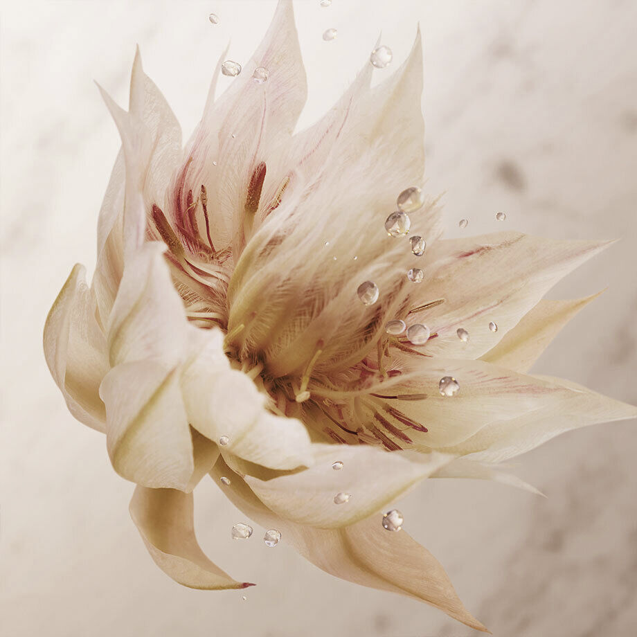 Olympea Deodorant Spray 150 ml