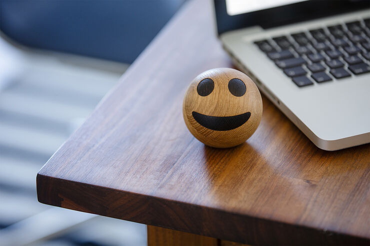 Grinning Face Smiley - Spring Emotions