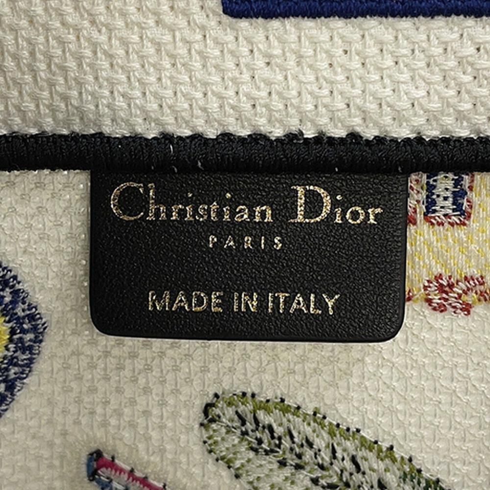 Dior Book Tote