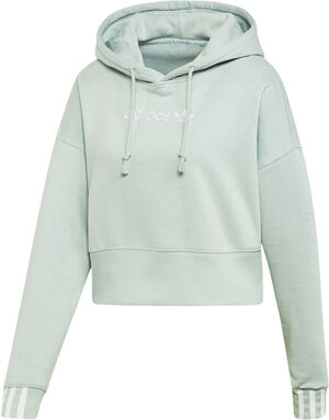 Coeeze Cropped hoodie