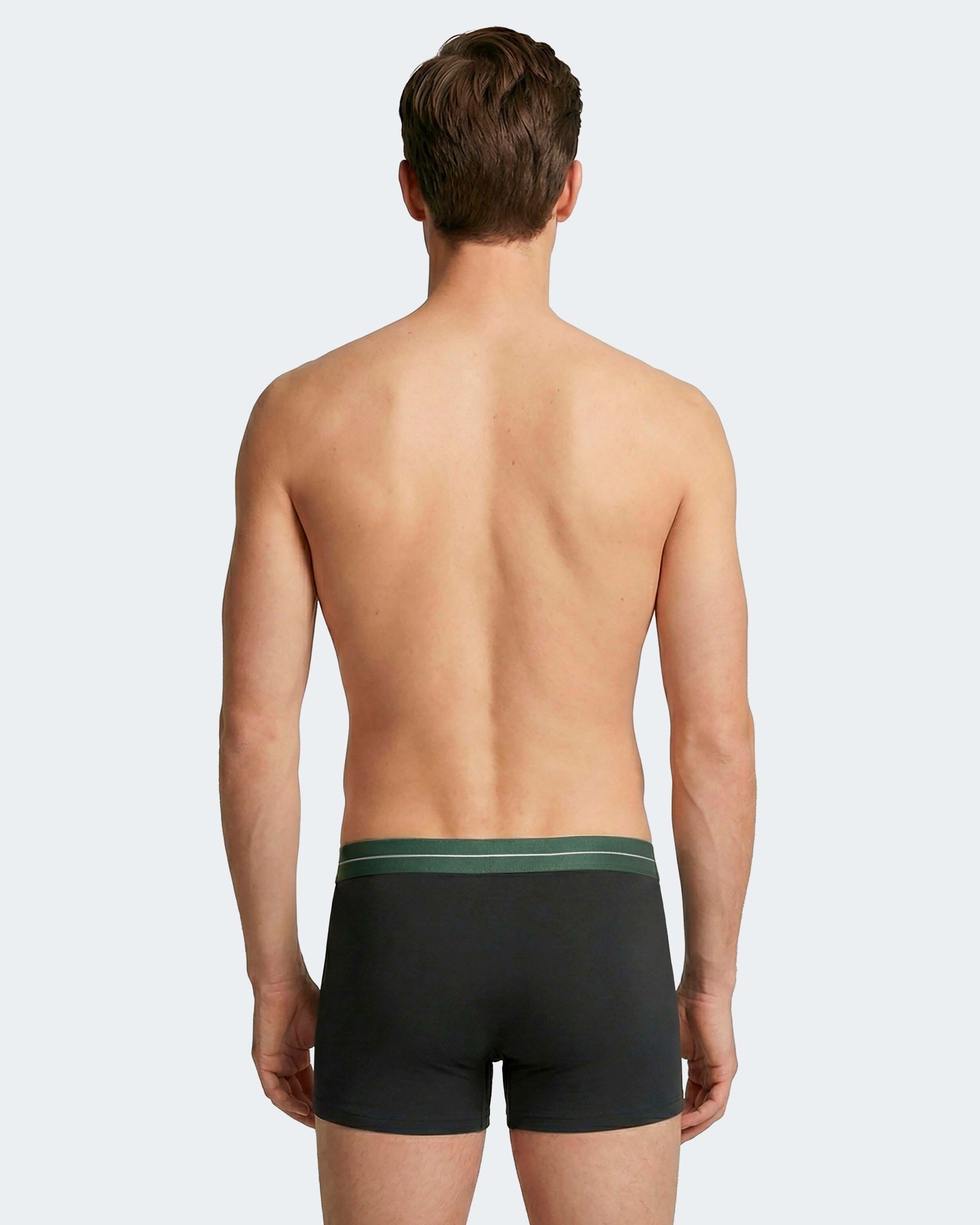 Pack of 2 men's boxers in Cotton