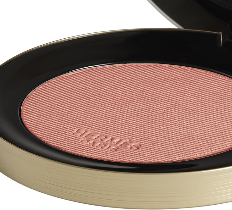 Rose Hermès Silky Blush Powder