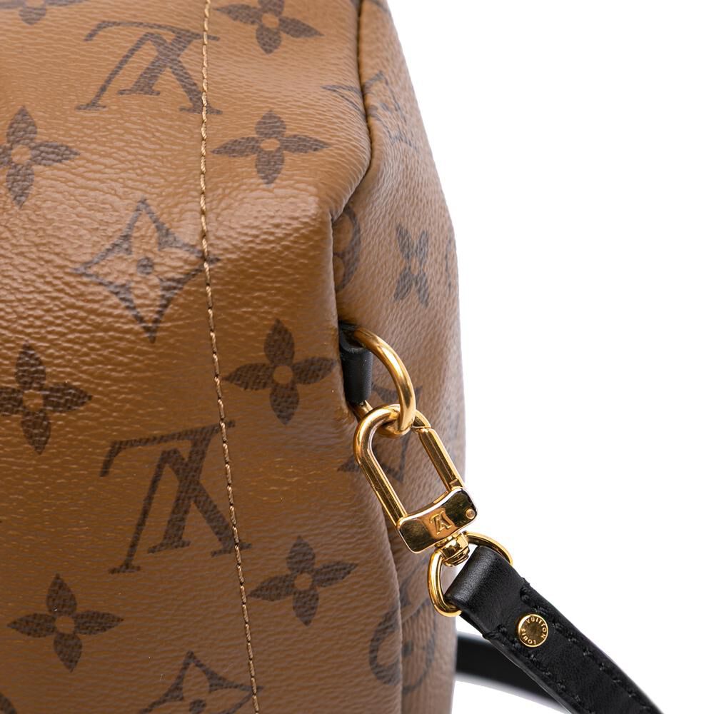 Louis Vuitton Palm Springs