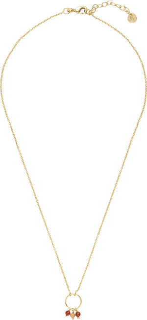 Sentiment Carnelian Citrine Necklace GP