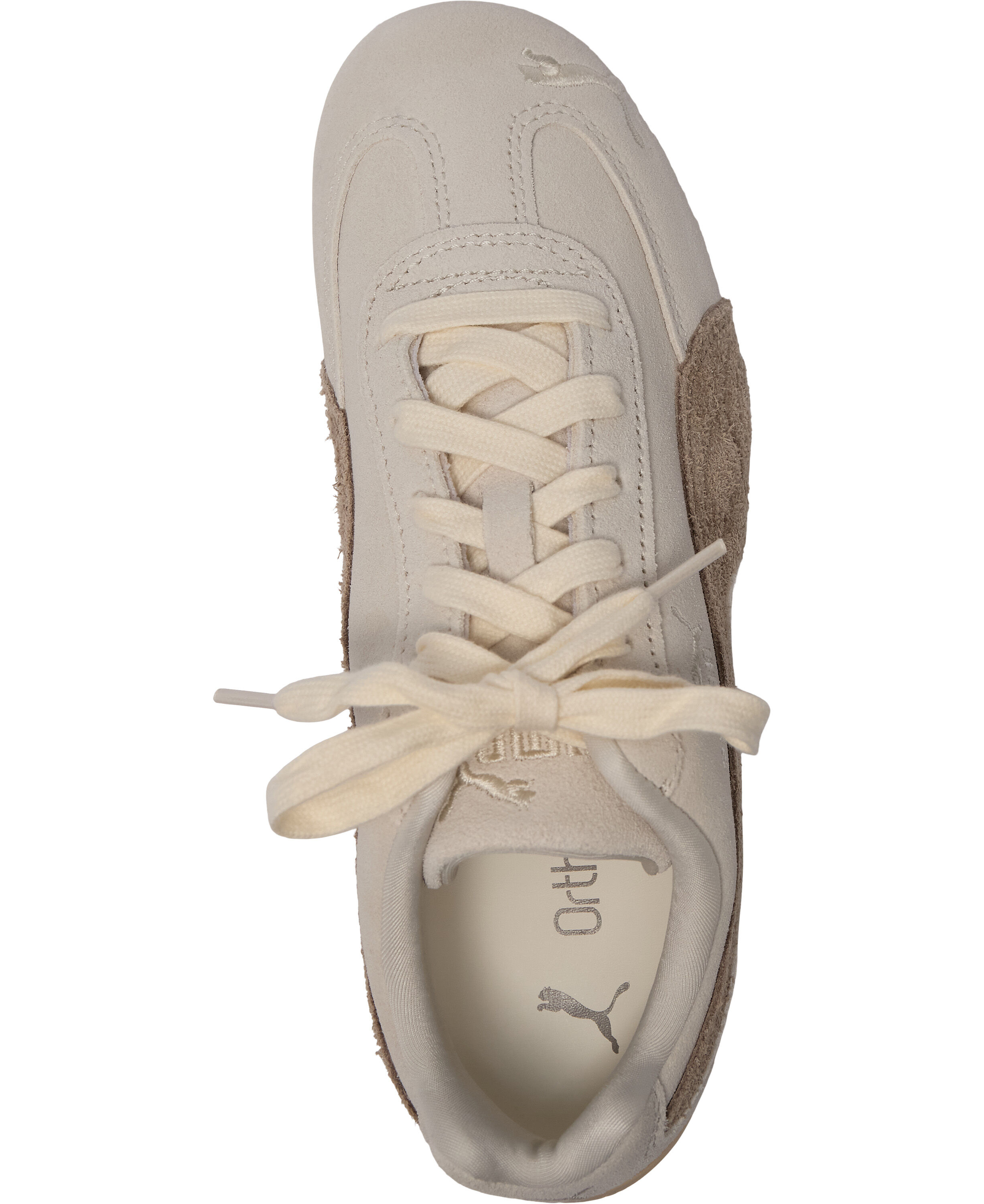 Speedcat Elevated Wns