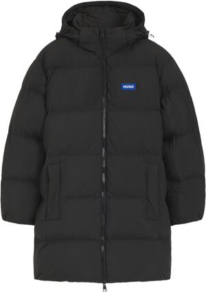 Bodi2541