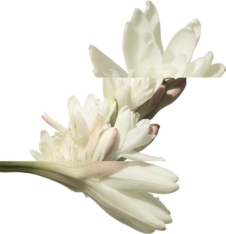 Twilly d'Hermès, Eau de parfum