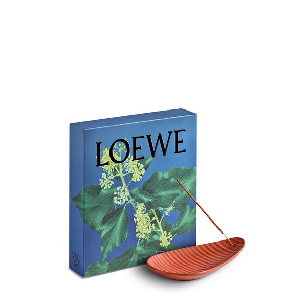 LOEWE Incense Full Pack Ivy