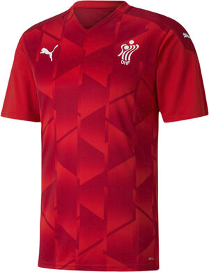 DHF kids T-shirt