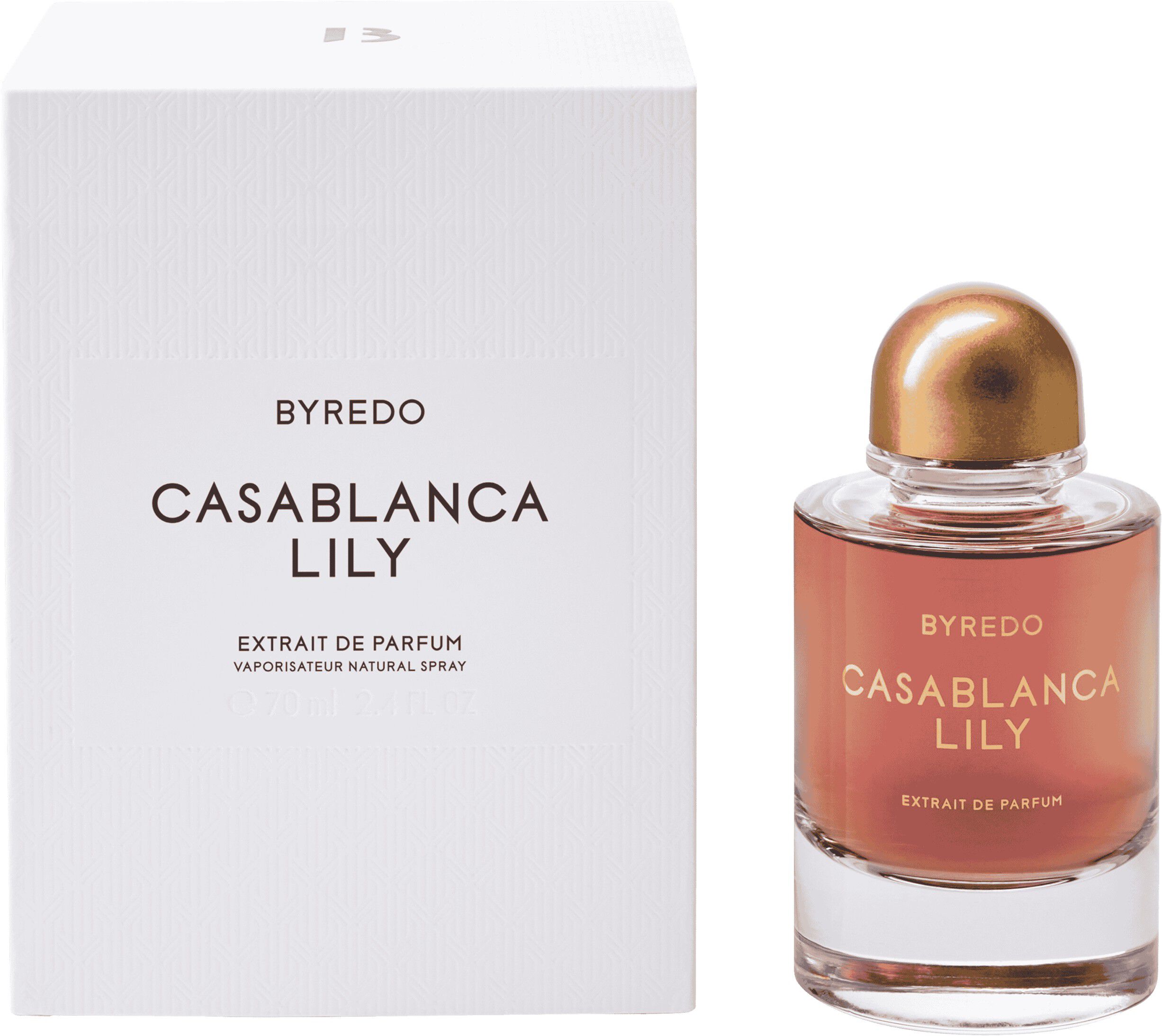 Night Veils Casablanca Lily