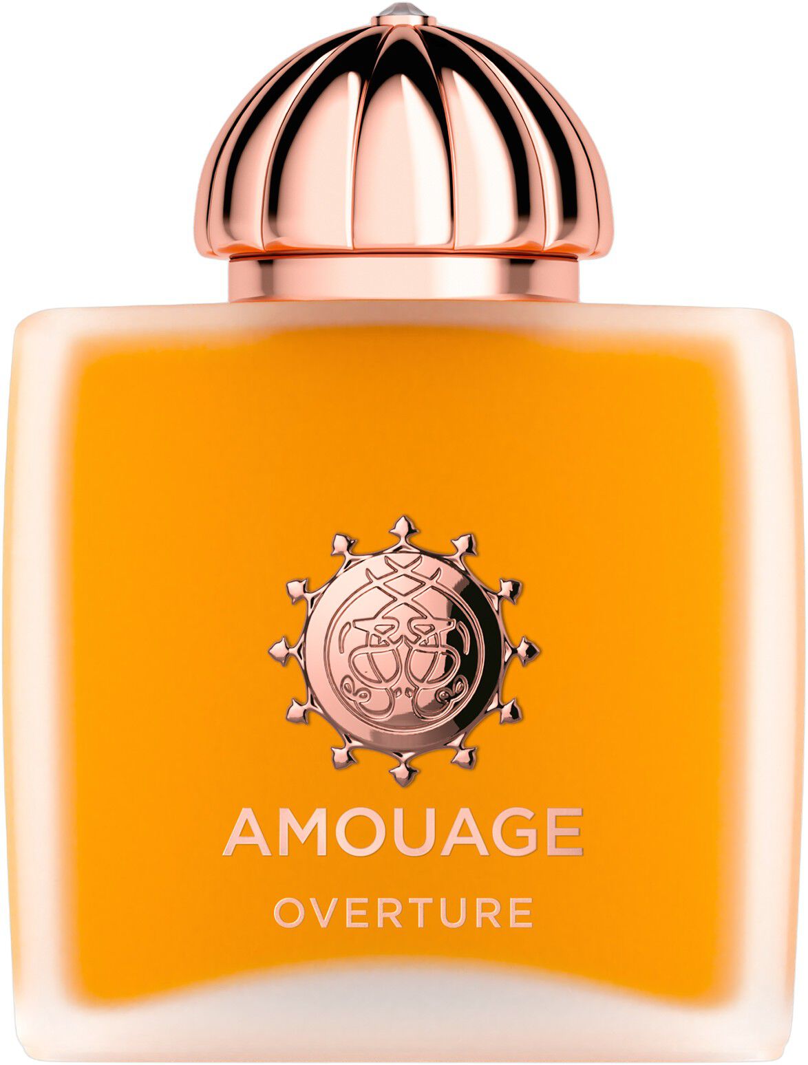 AMOUAGE OVERTURE WOMAN EDP 100ML