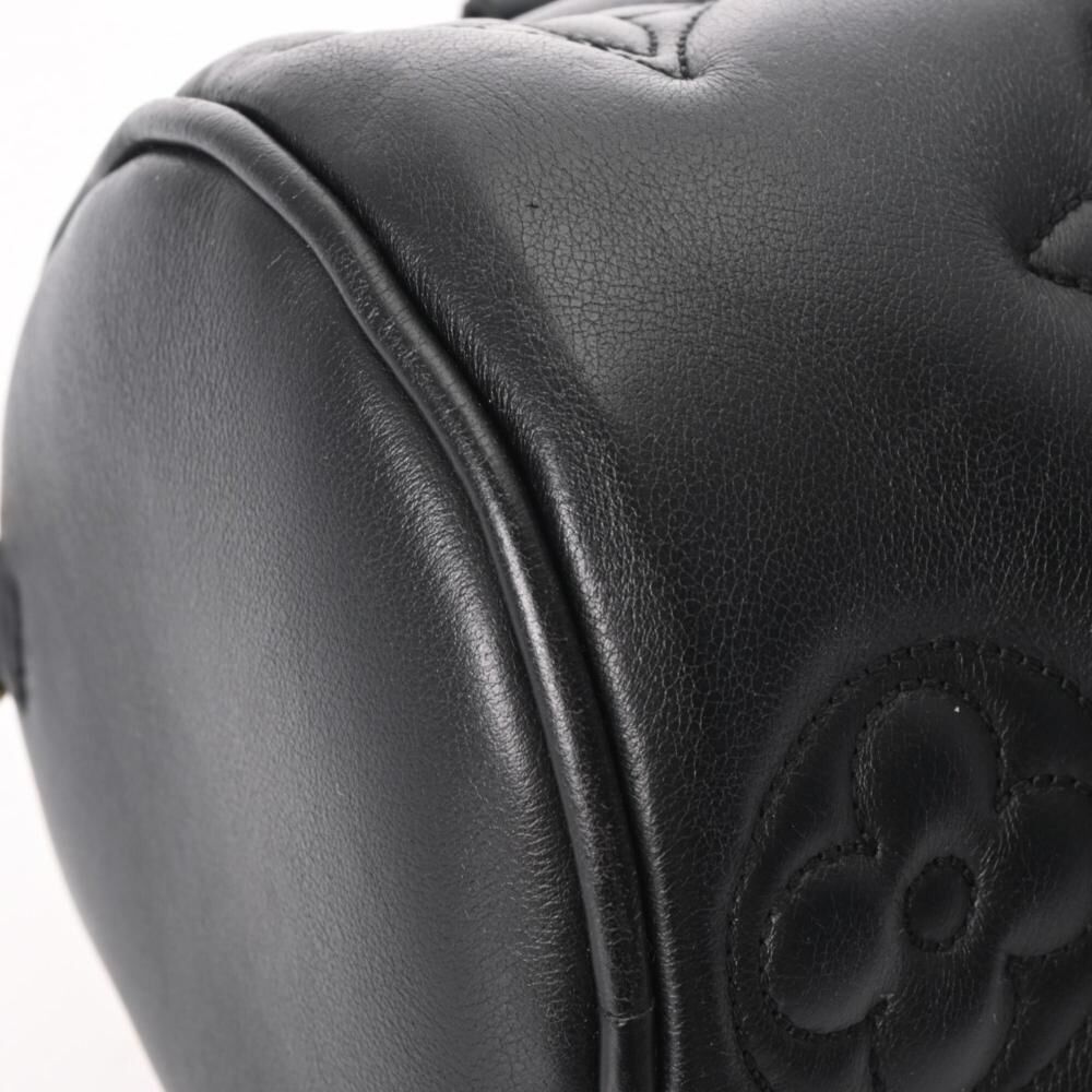 Louis Vuitton Papillon