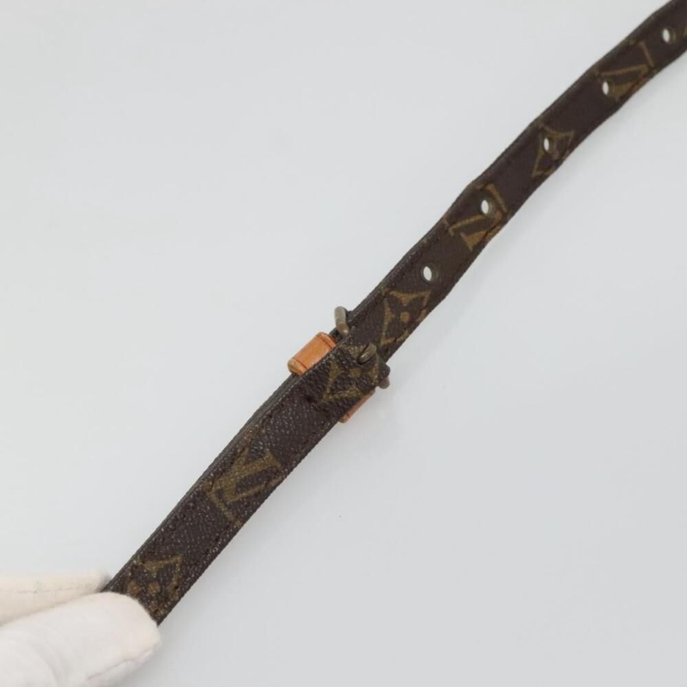 Louis Vuitton Danube