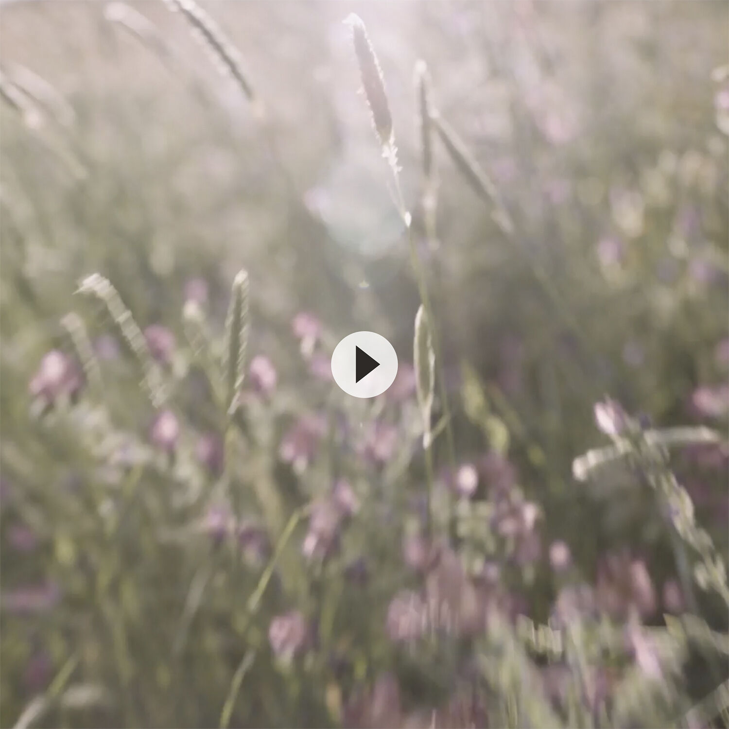 White Tea Eau Florale Eau de Toilette