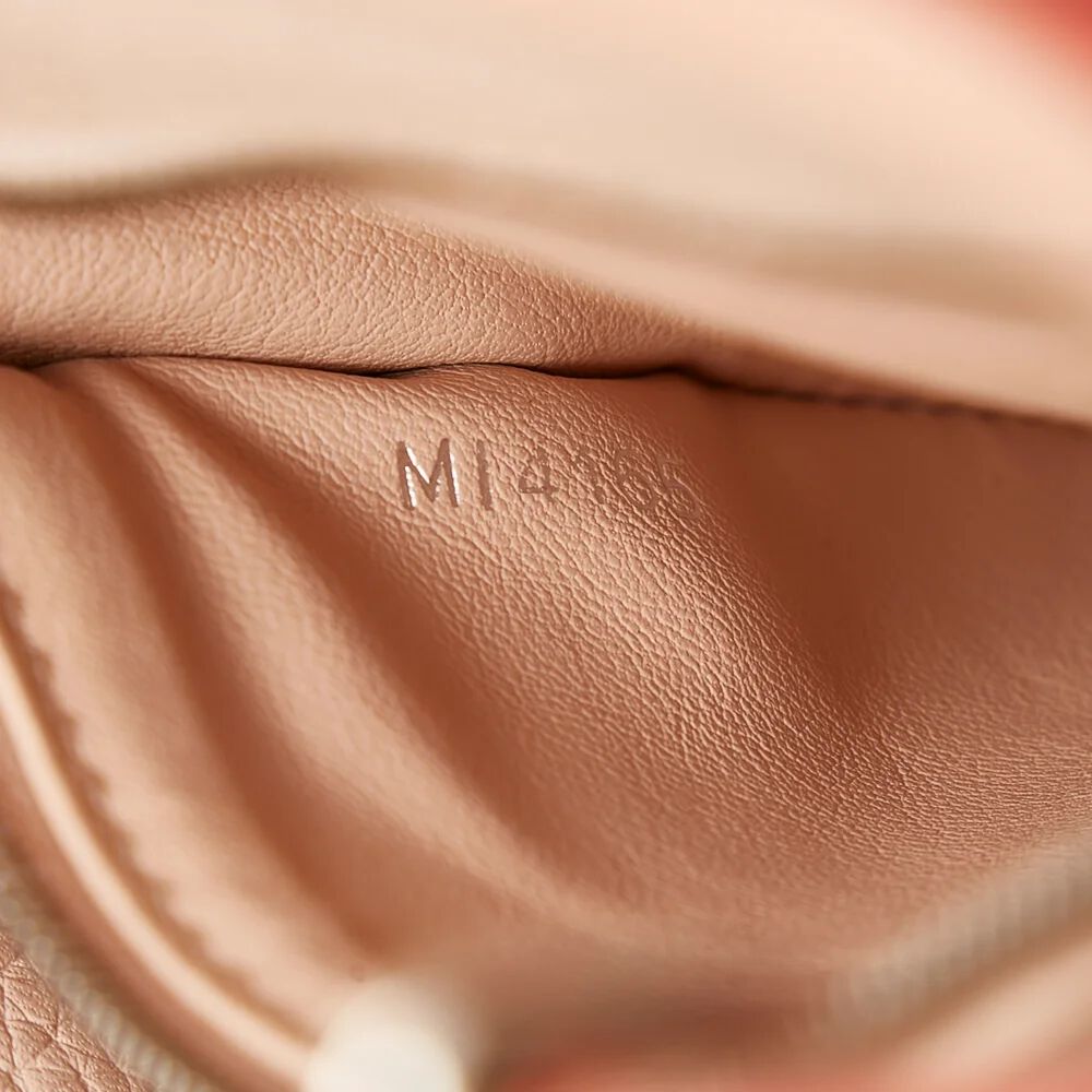 Louis Vuitton Capucines