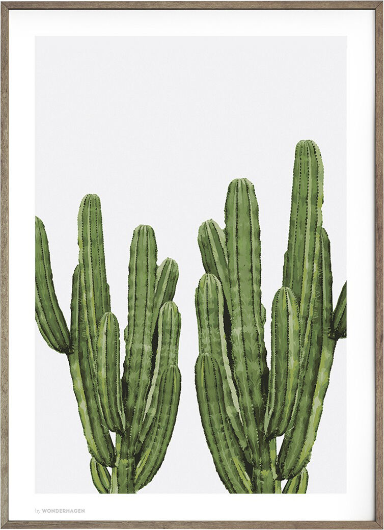 Wonderhagen - Cactus plakat