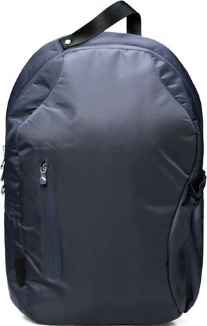 Delphi Backpack W2