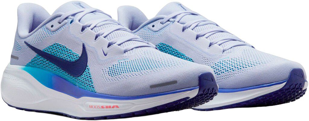 Pegasus 41 L&oslash;besko