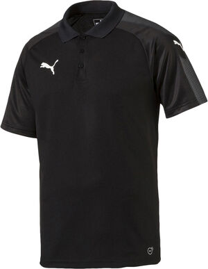 Ascension Polo