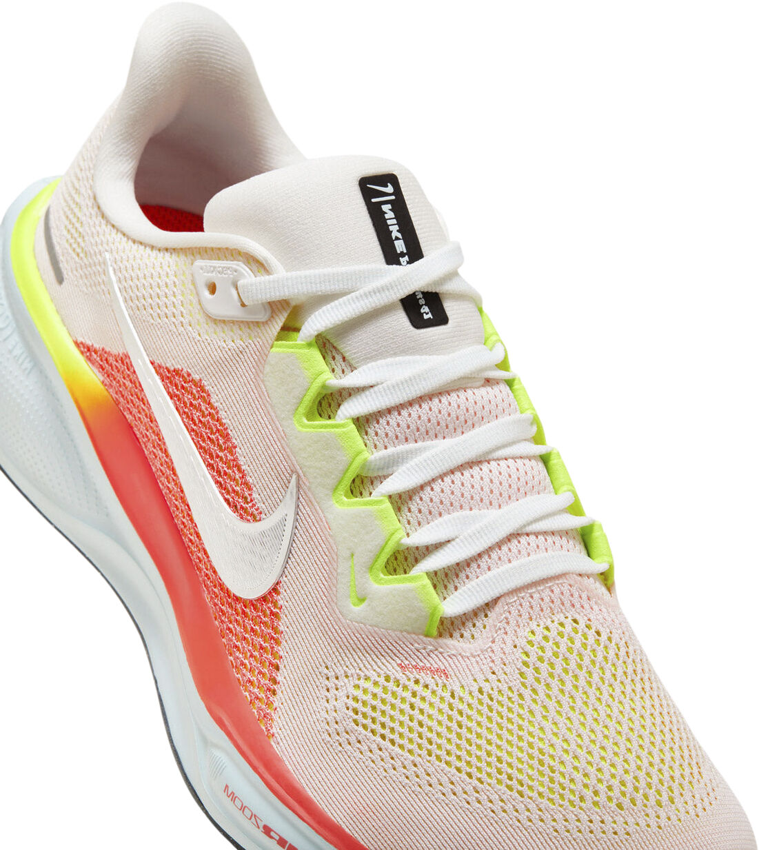 Pegasus 41 L&oslash;besko