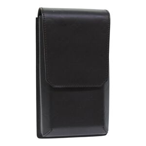 Louis Vuitton Pouch