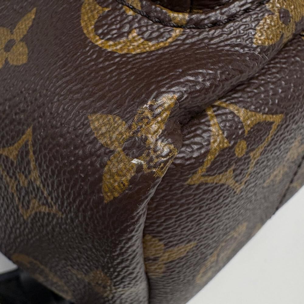 Louis Vuitton Palm Springs