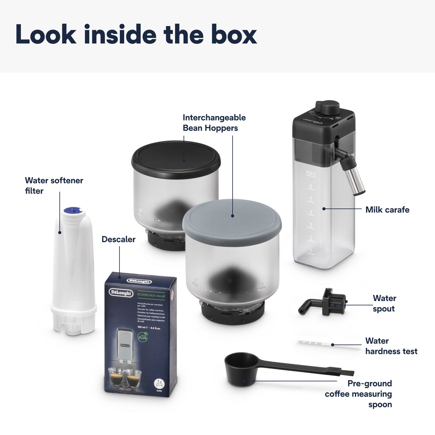 Rivelia EXAM440.55. B