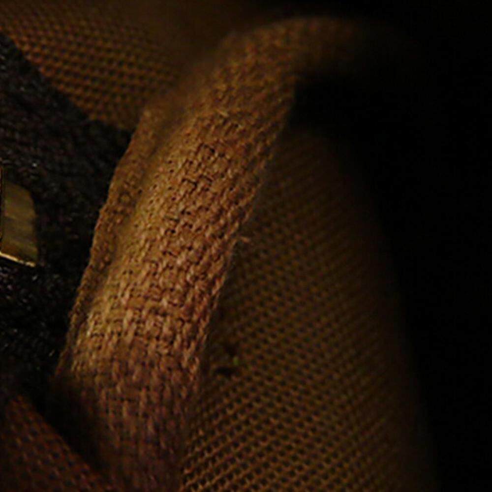 Louis Vuitton Speedy