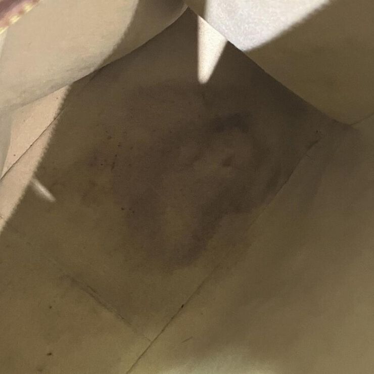 Louis Vuitton Looping