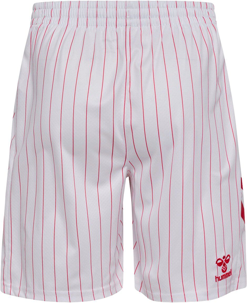 Danmark DBU 26/27 Voksen M&aring;lmandstr&oslash;je