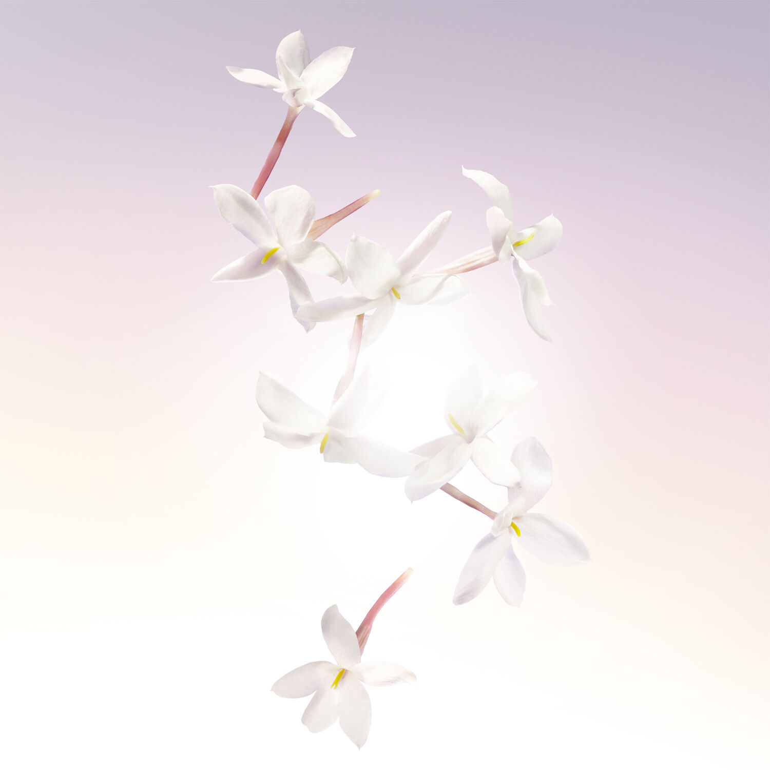 Id&ocirc;le Eau de Parfum