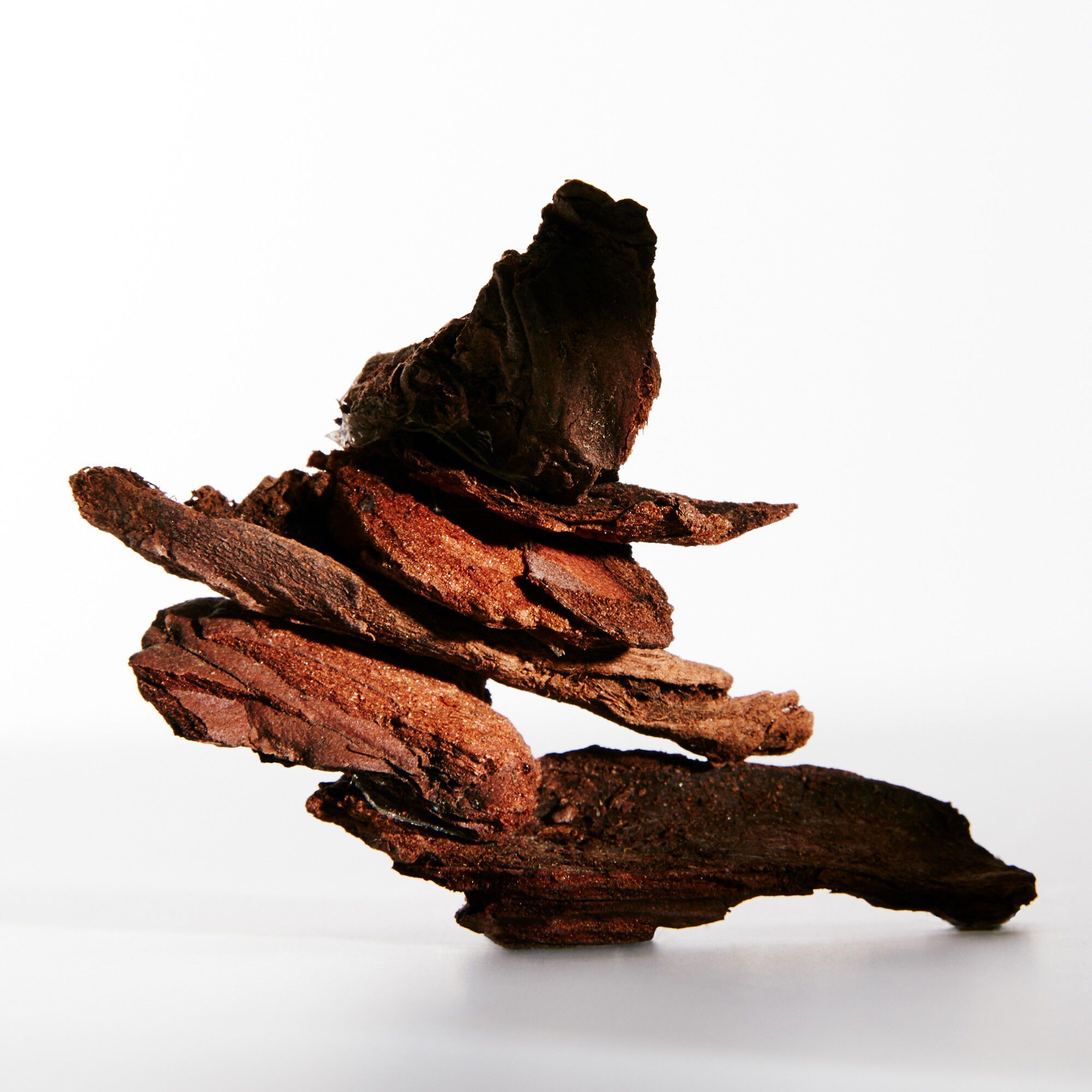 LOEWE Un Paseo por Madrid Debod Eau de Parfum 100 ml