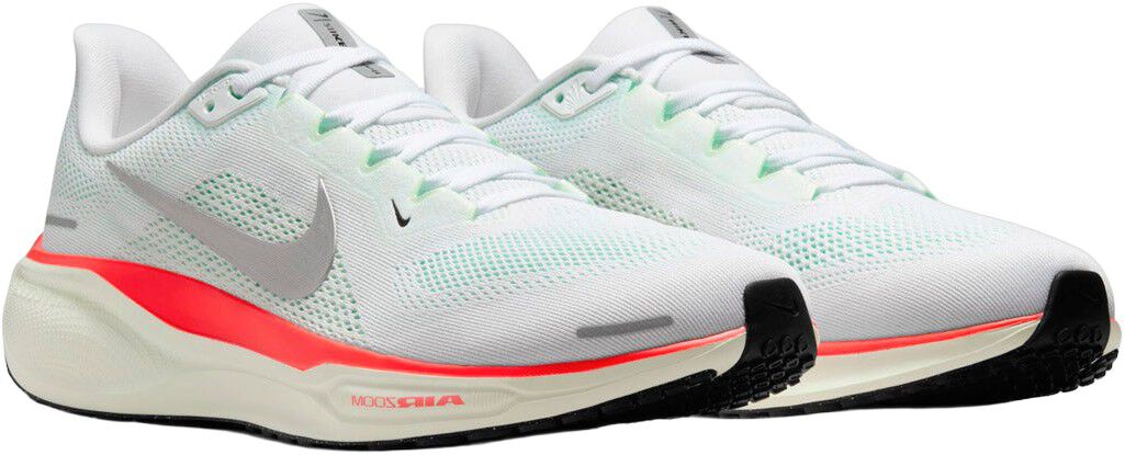 Pegasus 41 L&oslash;besko