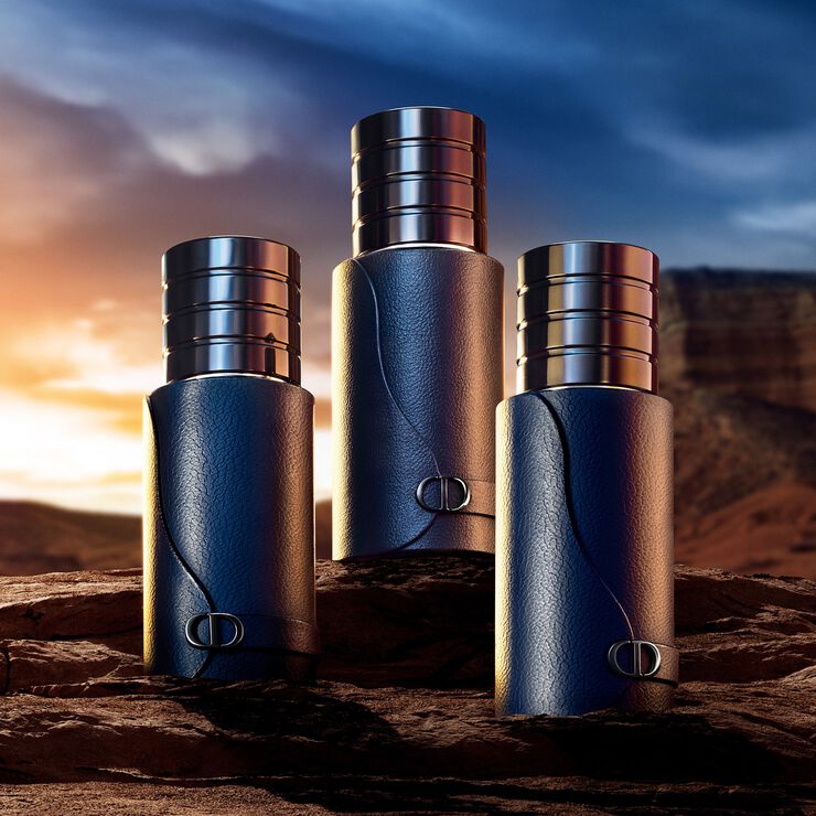 Sauvage Parfums Travel Spray 30ML INT25