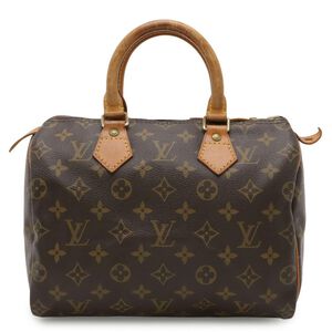 Louis Vuitton Speedy