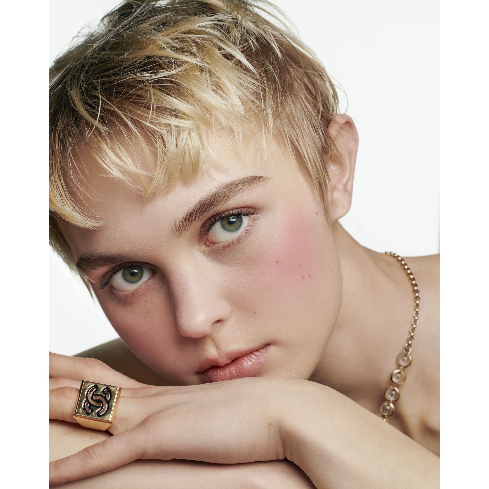 &Oslash;JENSKYGGE- OG BLUSHPALETTE