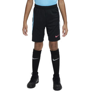 Dri Fit Strike Shorts