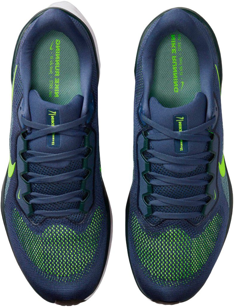 Pegasus 41 L&oslash;besko