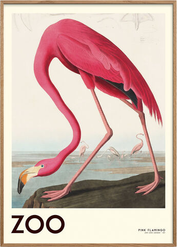 the zoo collection pink flamingo edt 001