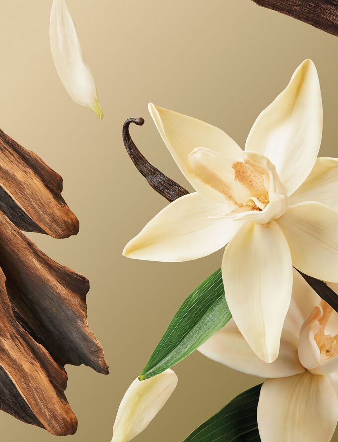 Intuitia Velvety Foaming Shower Gel 200ml