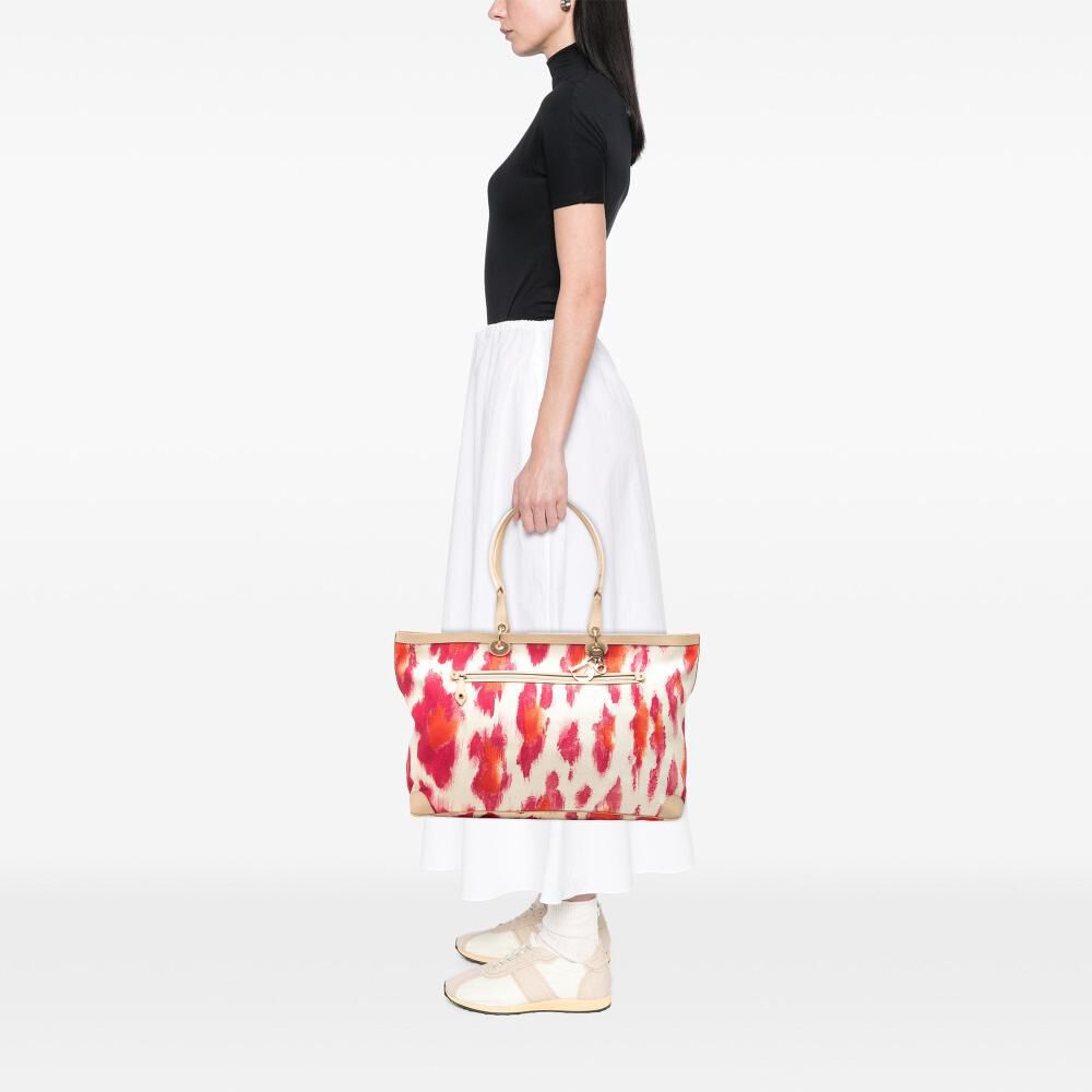 Dior Tote